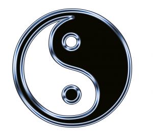 Everything has a yin and yang side. Jing is no exception and these distinctions are important for health and performance.