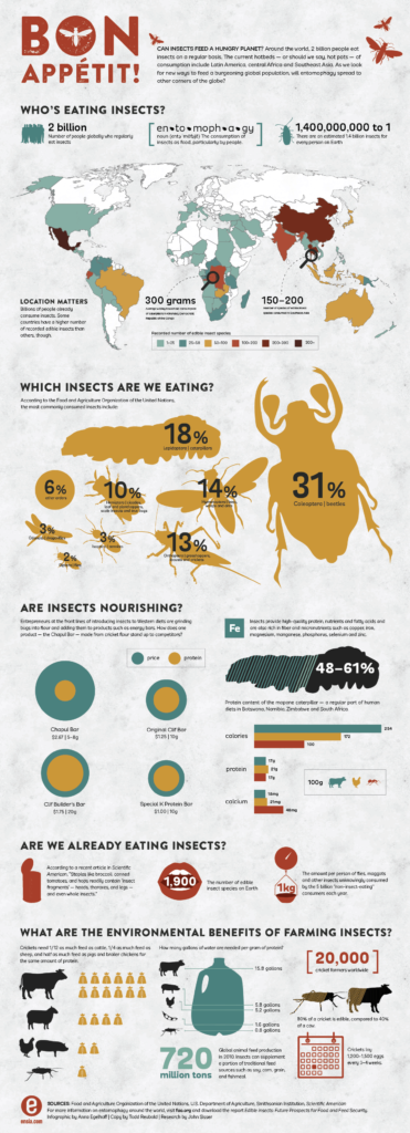 infographic_bon_appetit_can_insects_feed